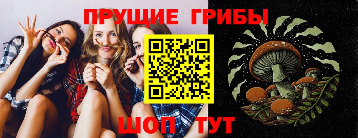 Галлюциногенные грибы Cubensis Среднеуральск