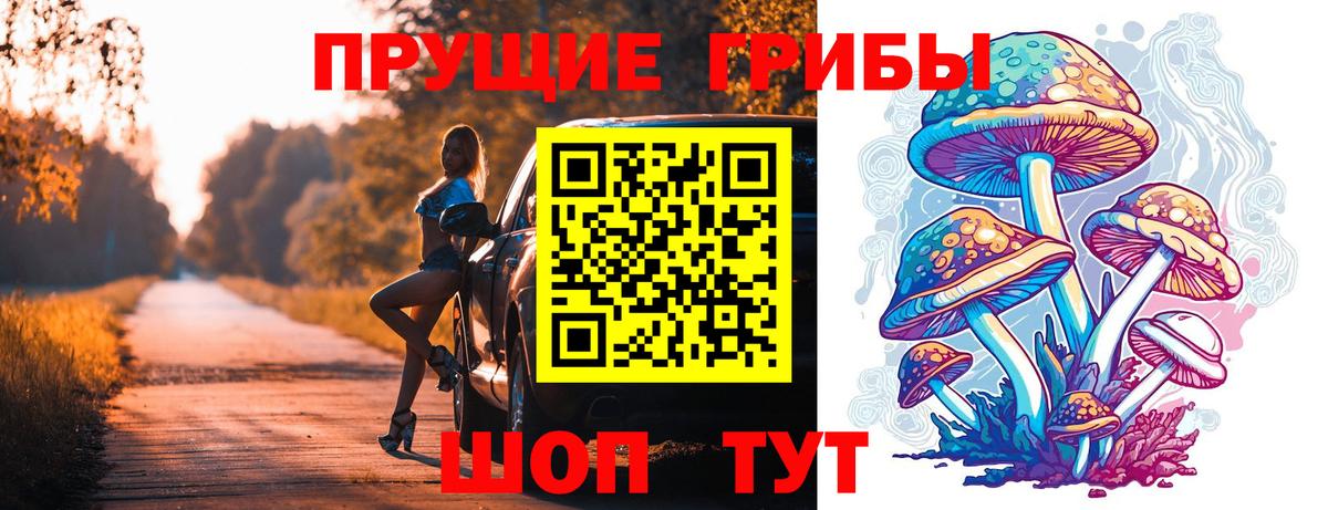 Среднеуральск  Галлюциногенные грибы Psilocybe  Вход с VPN 